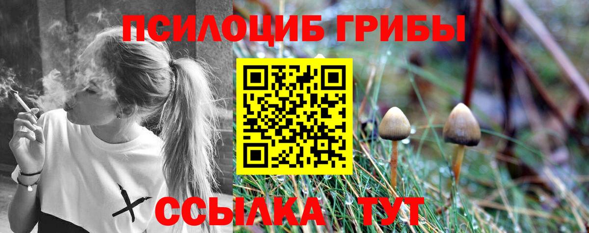 Псилоцибиновые грибы Magic Shrooms  Вход с VPN  Киржач 