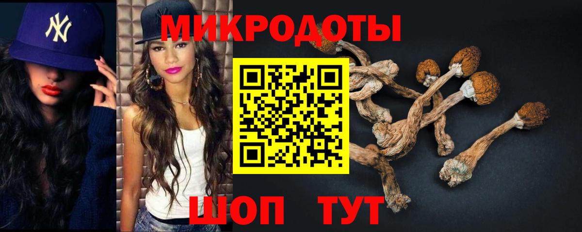 Галлюциногенные грибы Cubensis Киржач